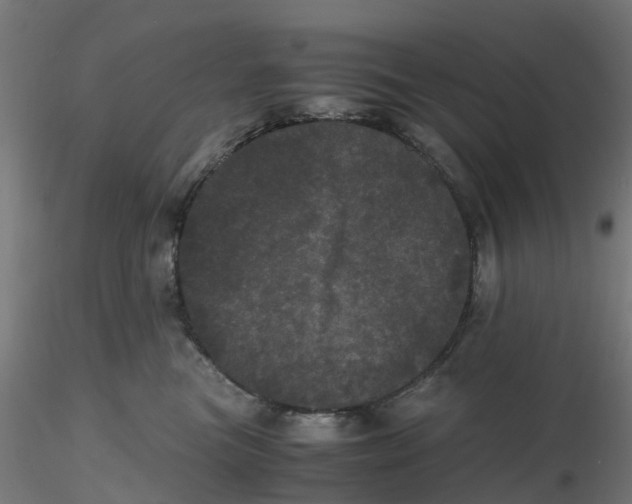 X0000116760473201001071159