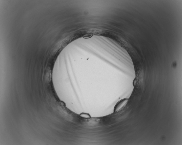 X0000116760474201001071159