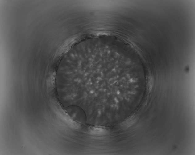 X0000116760475201001071159