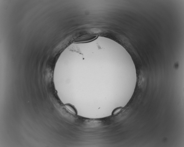 X0000116760476201001071159