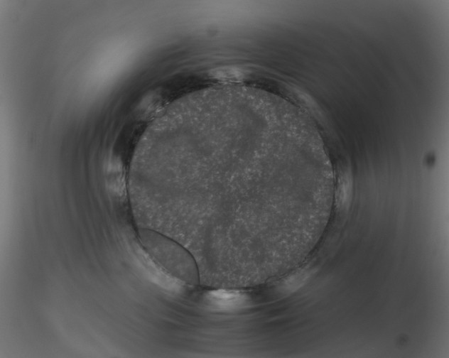 X0000116760477201001071159