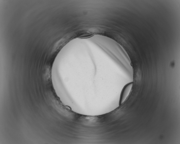 X0000116760478201001071159