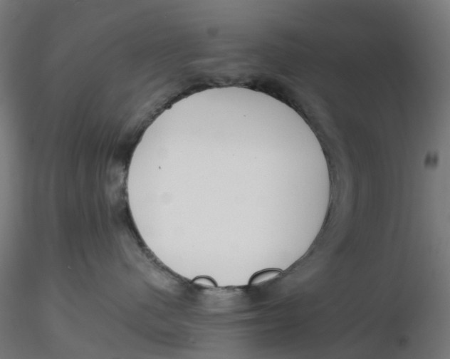 X0000116760480201001071159