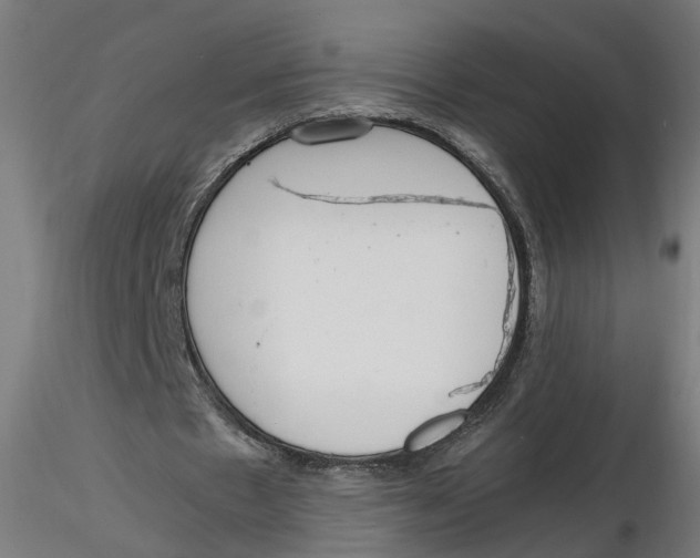 X0000116760481201001071158