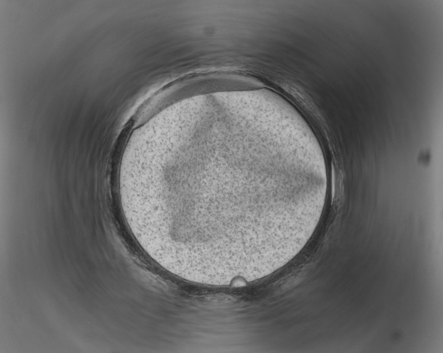 X0000116760483201001071158