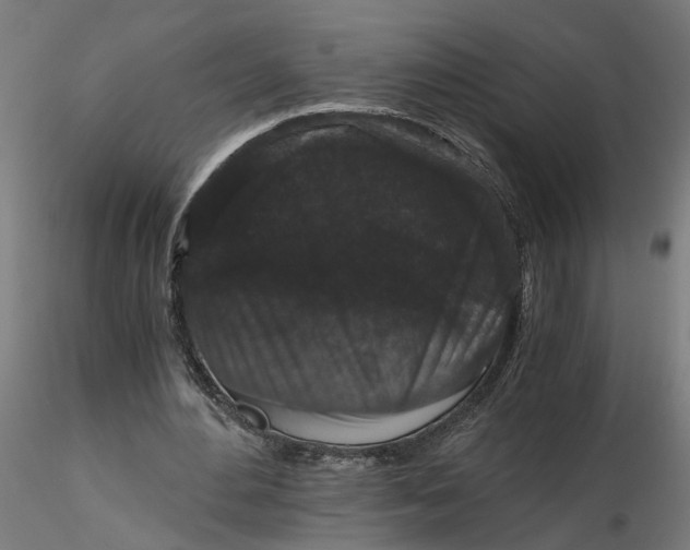 X0000116760484201001071158