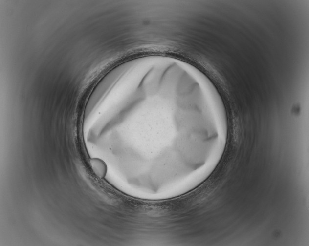 X0000116760486201001071158