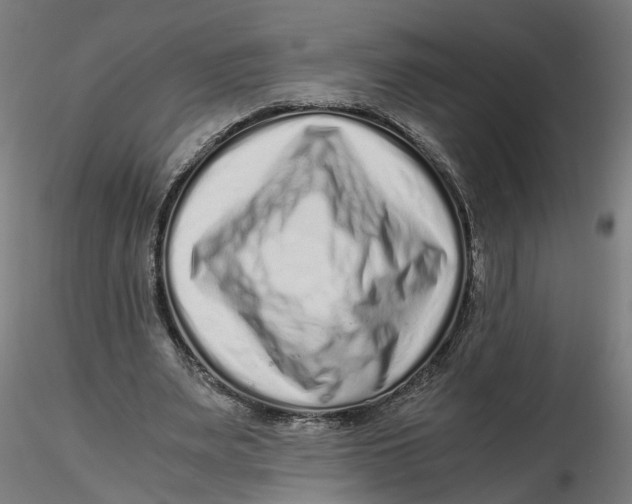 X0000116760487201001071158