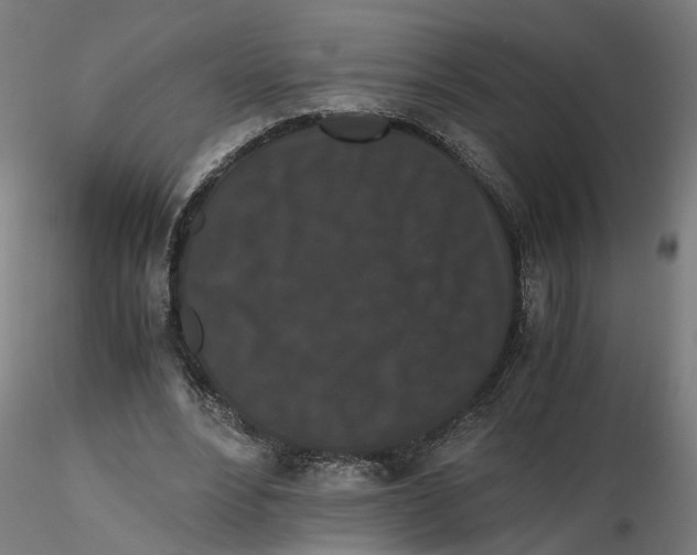 X0000116760488201001071158