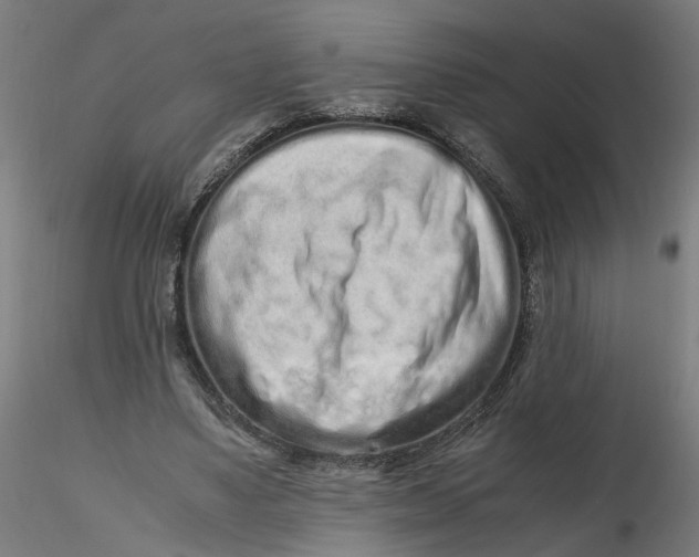 X0000116760491201001071158