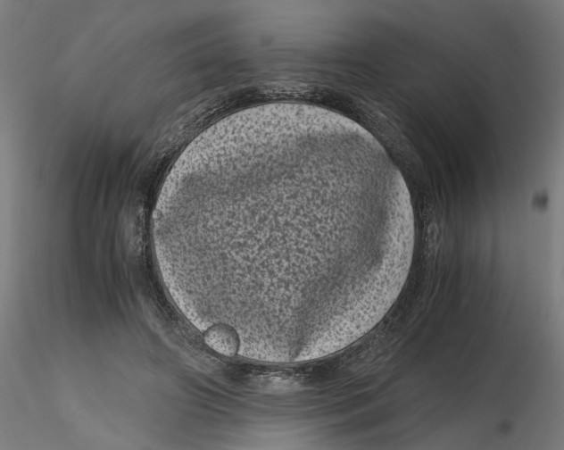 X0000116760498201001071158