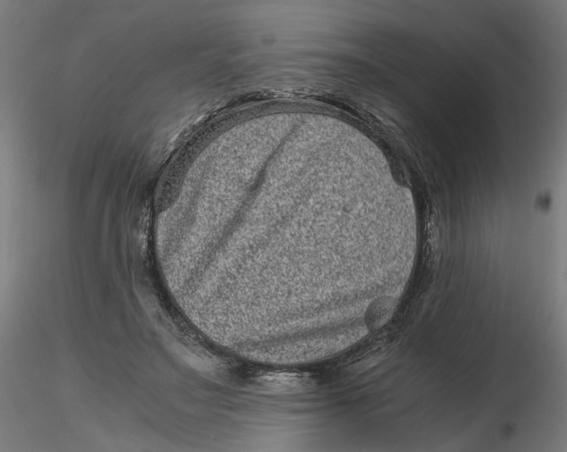 X0000116760499201001071158