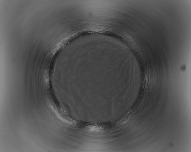 X0000116760500201001071158