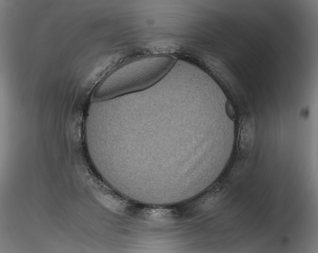 X0000116760501201001071158