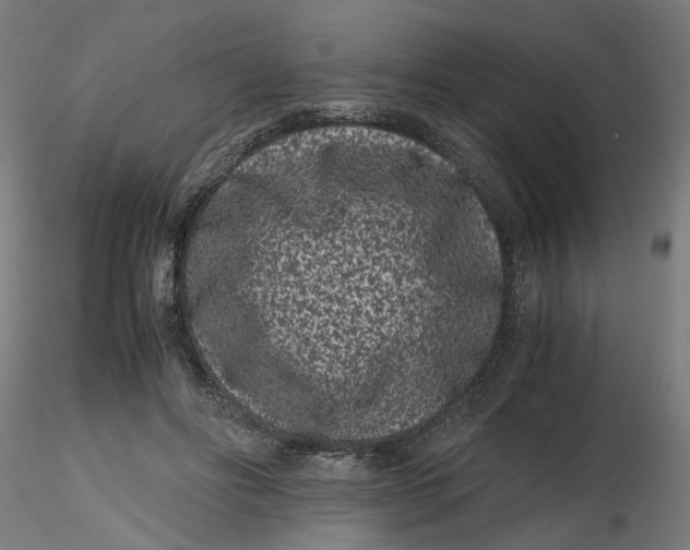 X0000116760502201001071158