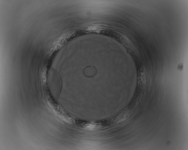 X0000116760504201001071158