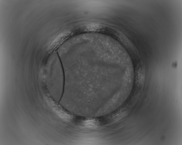 X0000116760505201001071158