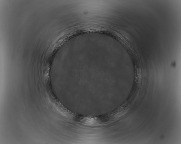 X0000116760507201001071158