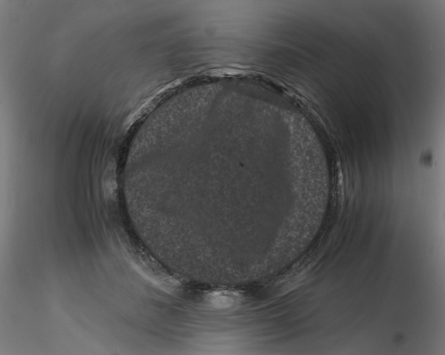 X0000116760508201001071158