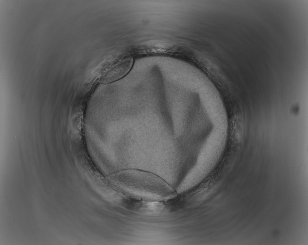 X0000116760509201001071158