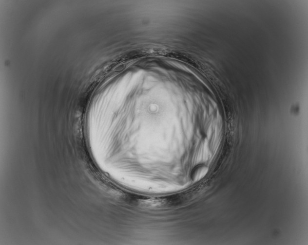 X0000116760511201001071158