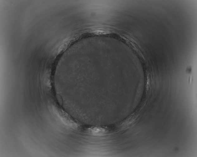 X0000116760512201001071158