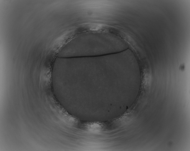 X0000116760513201001071158