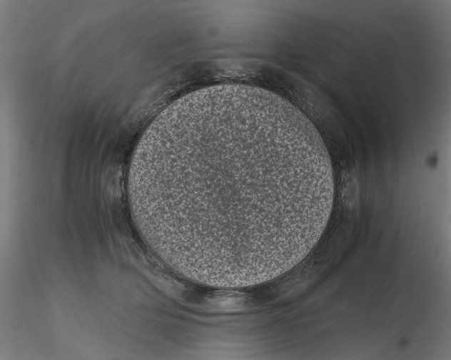 X0000116760514201001071158