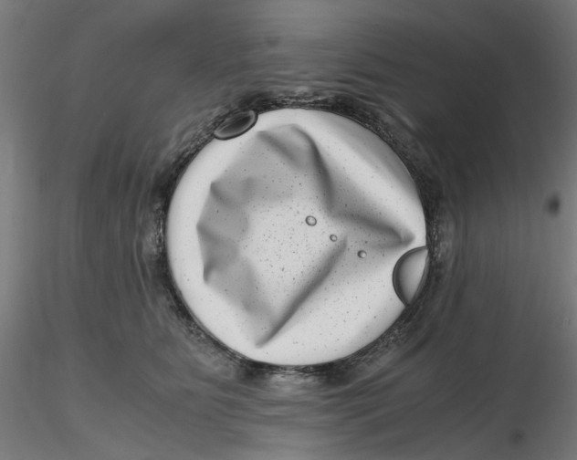 X0000116760515201001071158