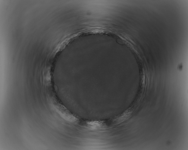 X0000116760516201001071158