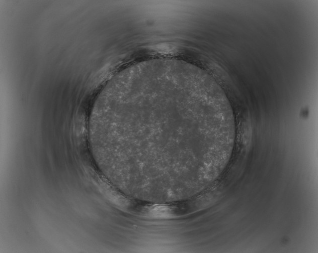 X0000116760518201001071158