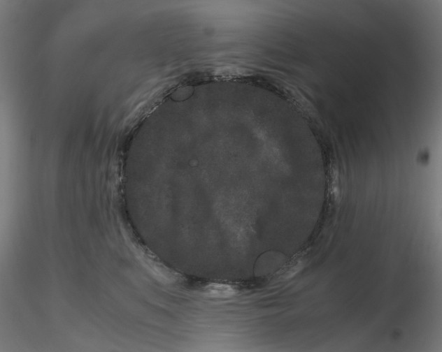 X0000116760519201001071158