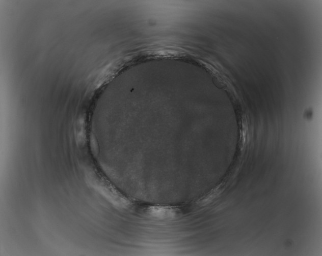 X0000116760520201001071158