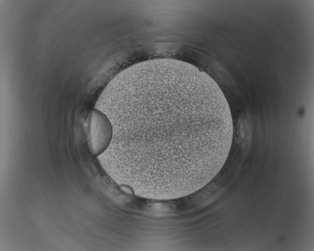 X0000116760522201001071158