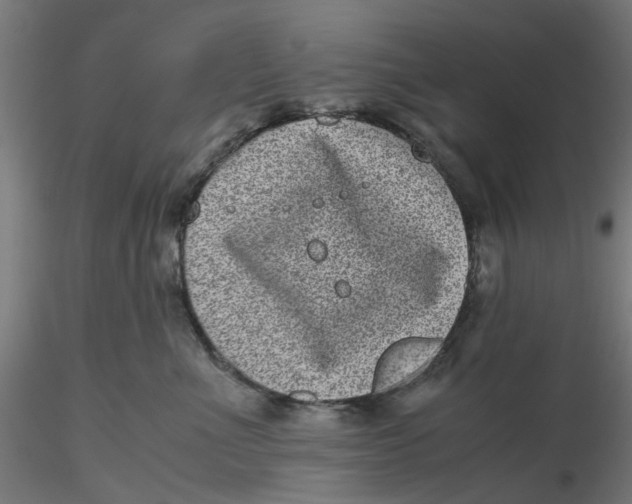 X0000116760523201001071158