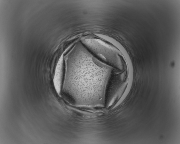 X0000116760524201001071158