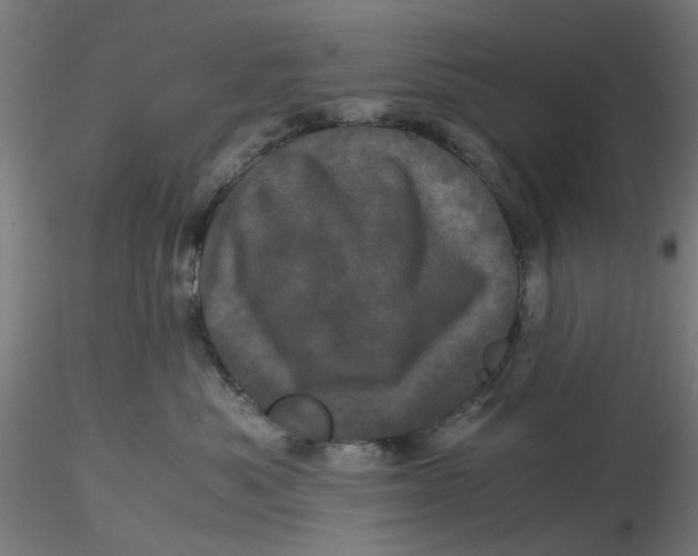 X0000116760525201001071158