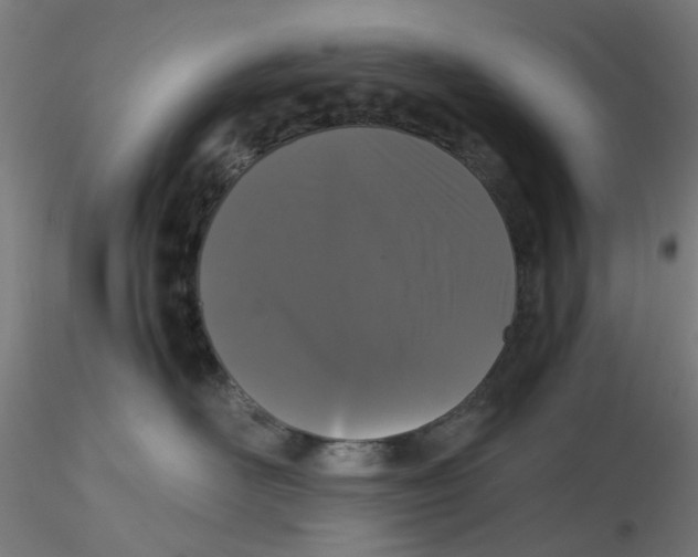 X0000116760526201001071158