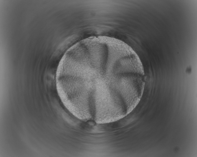 X0000116760527201001071158