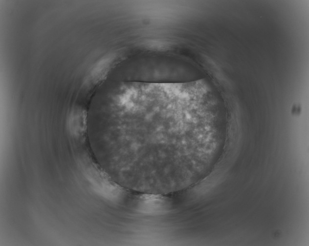 X0000116760528201001071158