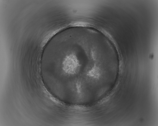 X0000116760529201001071157