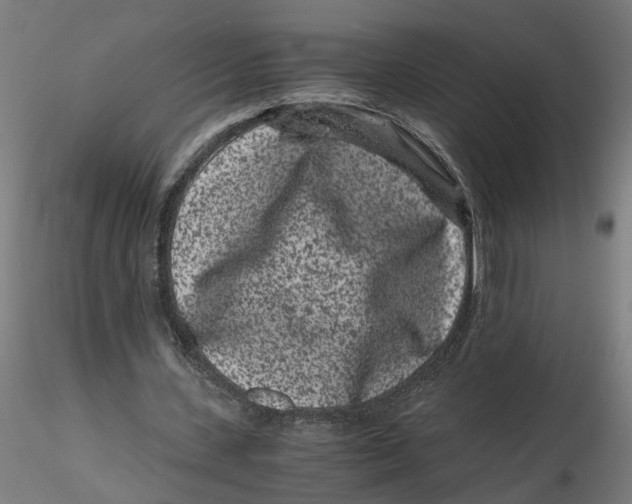 X0000116760531201001071157