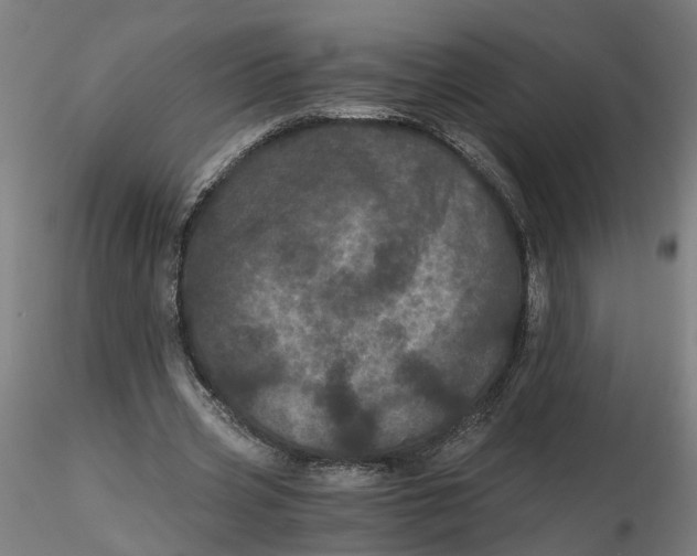 X0000116760533201001071157