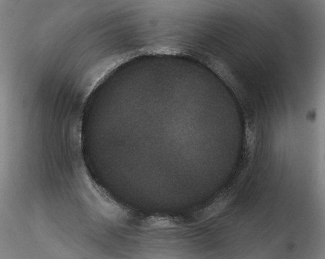 X0000116760534201001071157