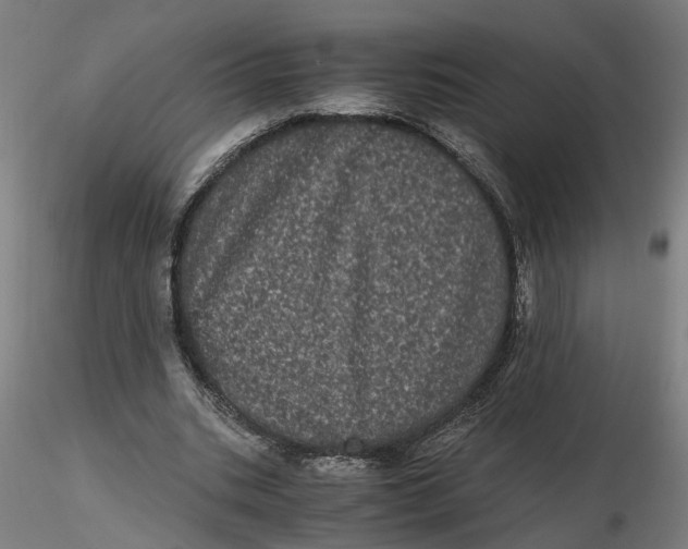 X0000116760535201001071157