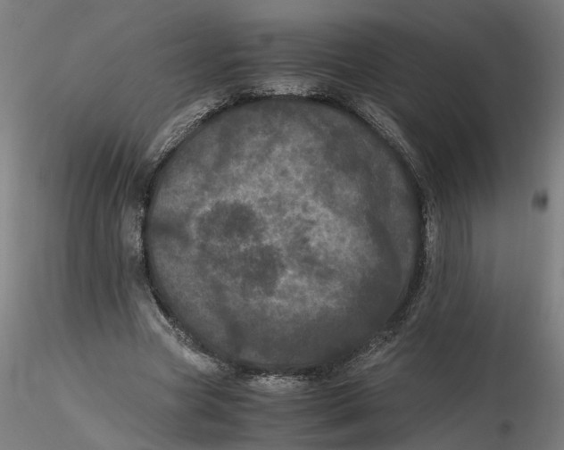 X0000116760537201001071157