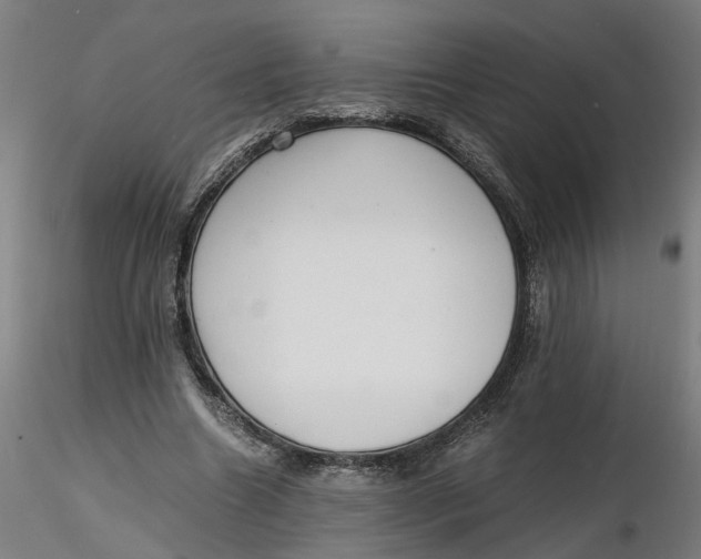 X0000116760538201001071157