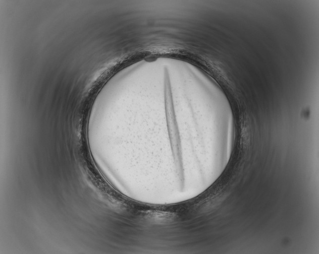 X0000116760539201001071157