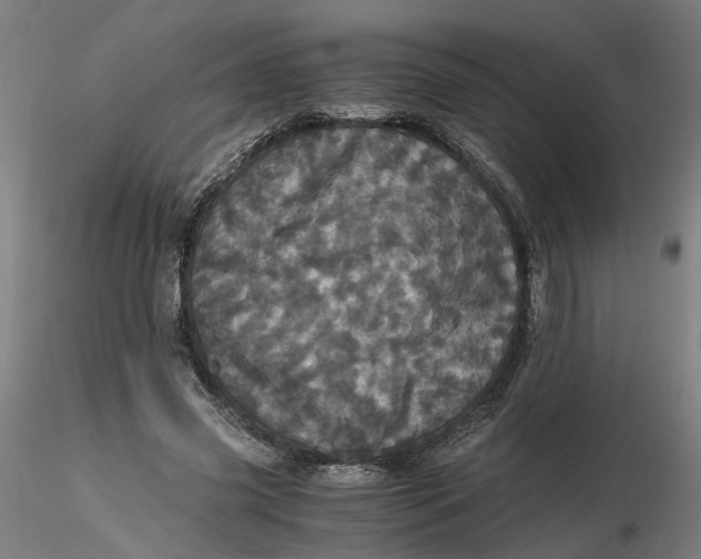 X0000116760541201001071157