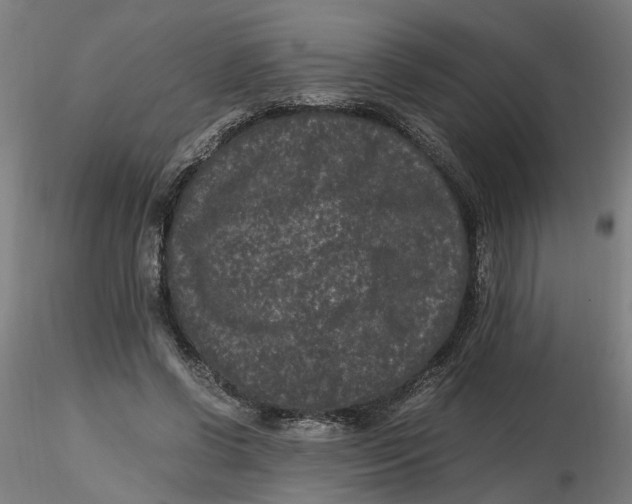 X0000116760542201001071157